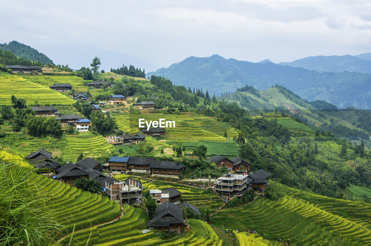 High angle view of rice field against sky