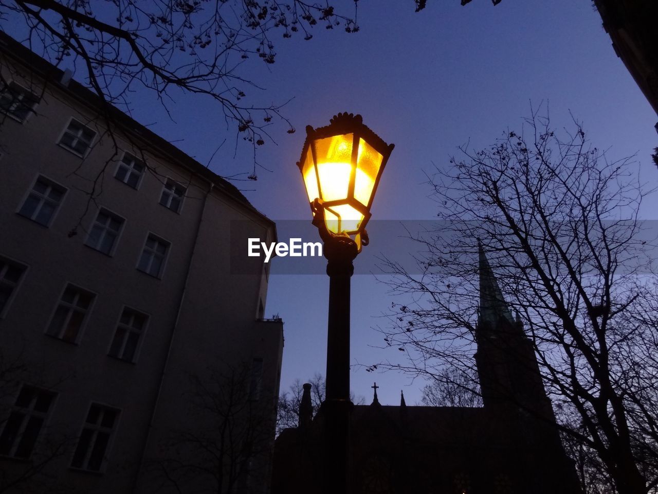 LOW ANGLE VIEW OF ILLUMINATED STREET LIGHT AND TREES