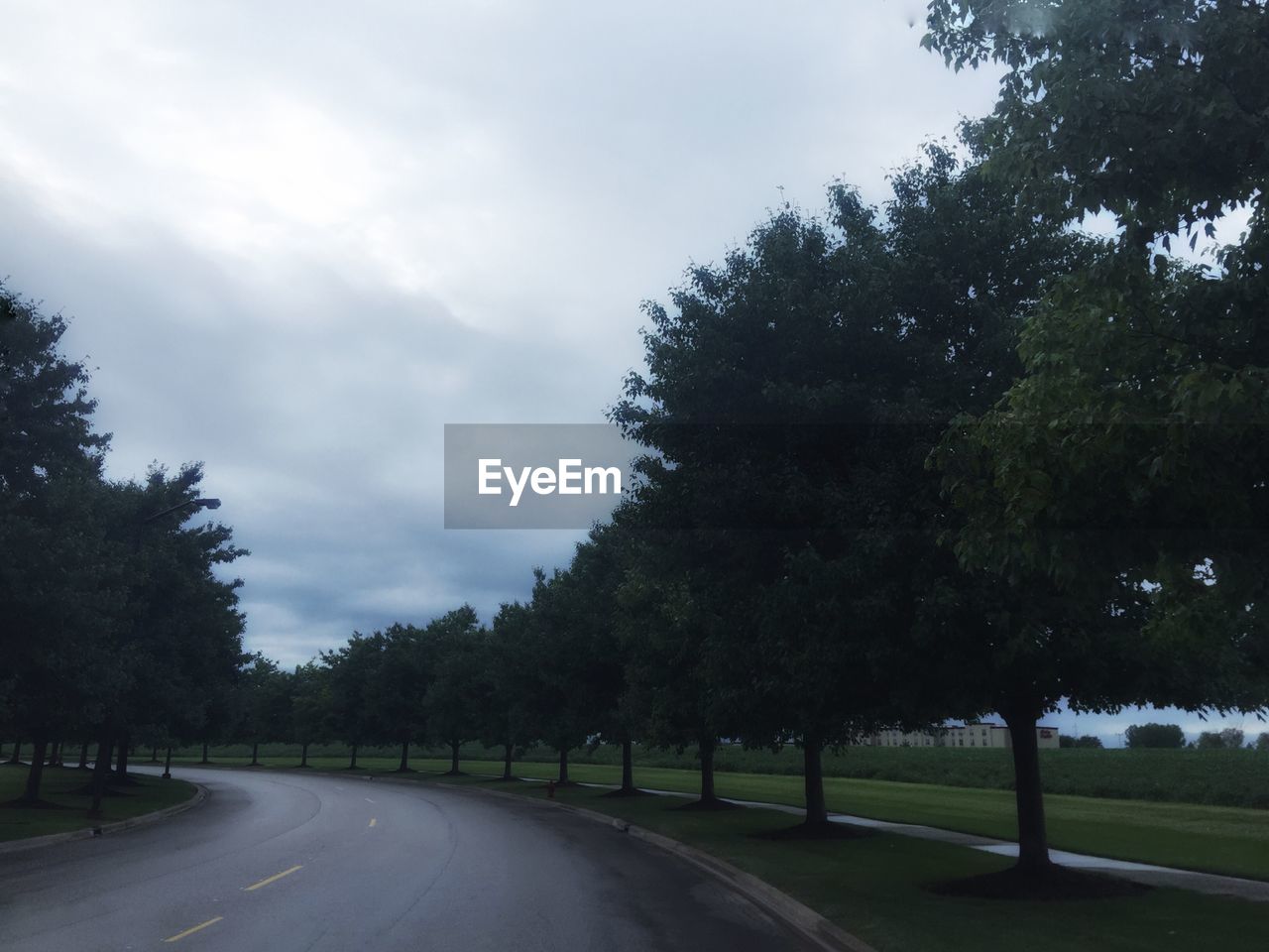 EMPTY ROAD WITH TREES IN BACKGROUND