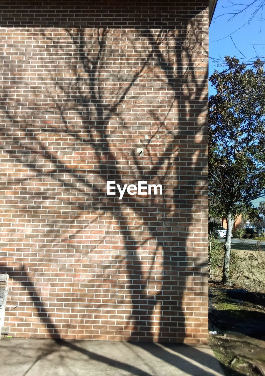 sunlight, shadow, tree, architecture, day, built structure, plant, nature, no people, wall, building exterior, art, outdoors, sunny, wall - building feature, sky, urban area