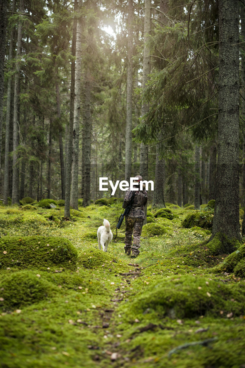 Woman with hunting dog in forest