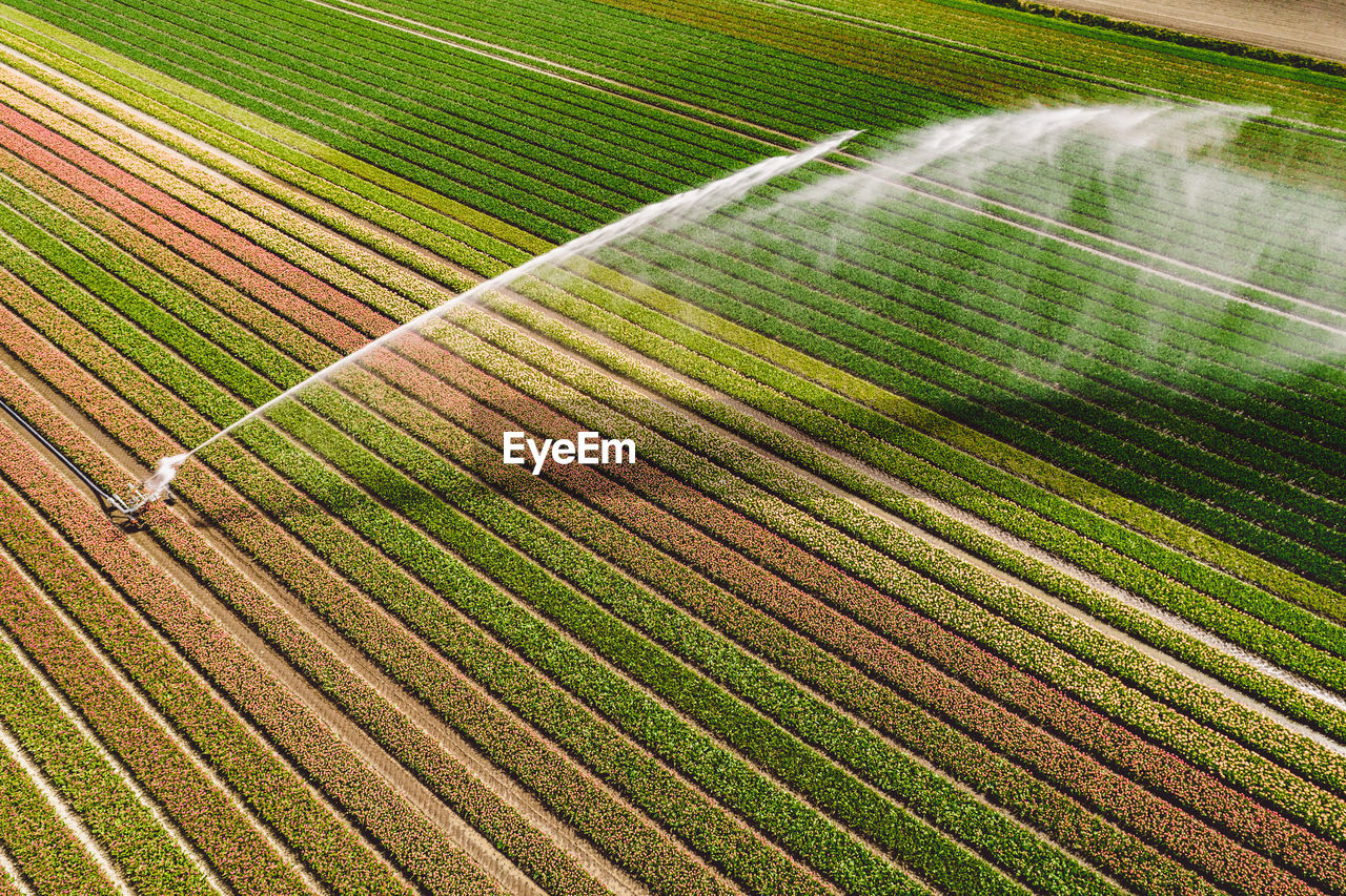 Full frame shot of agricultural field