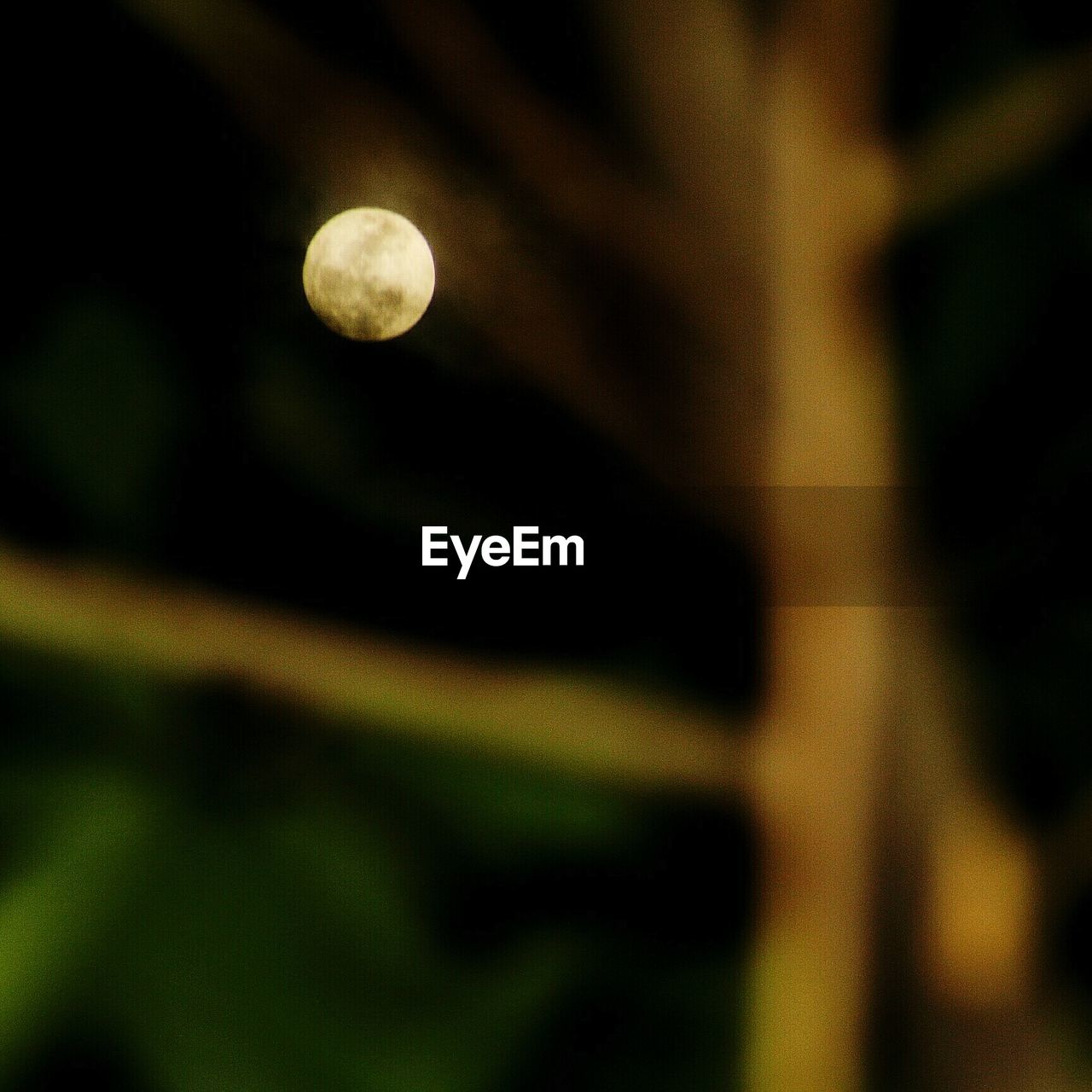 CLOSE-UP OF MOON
