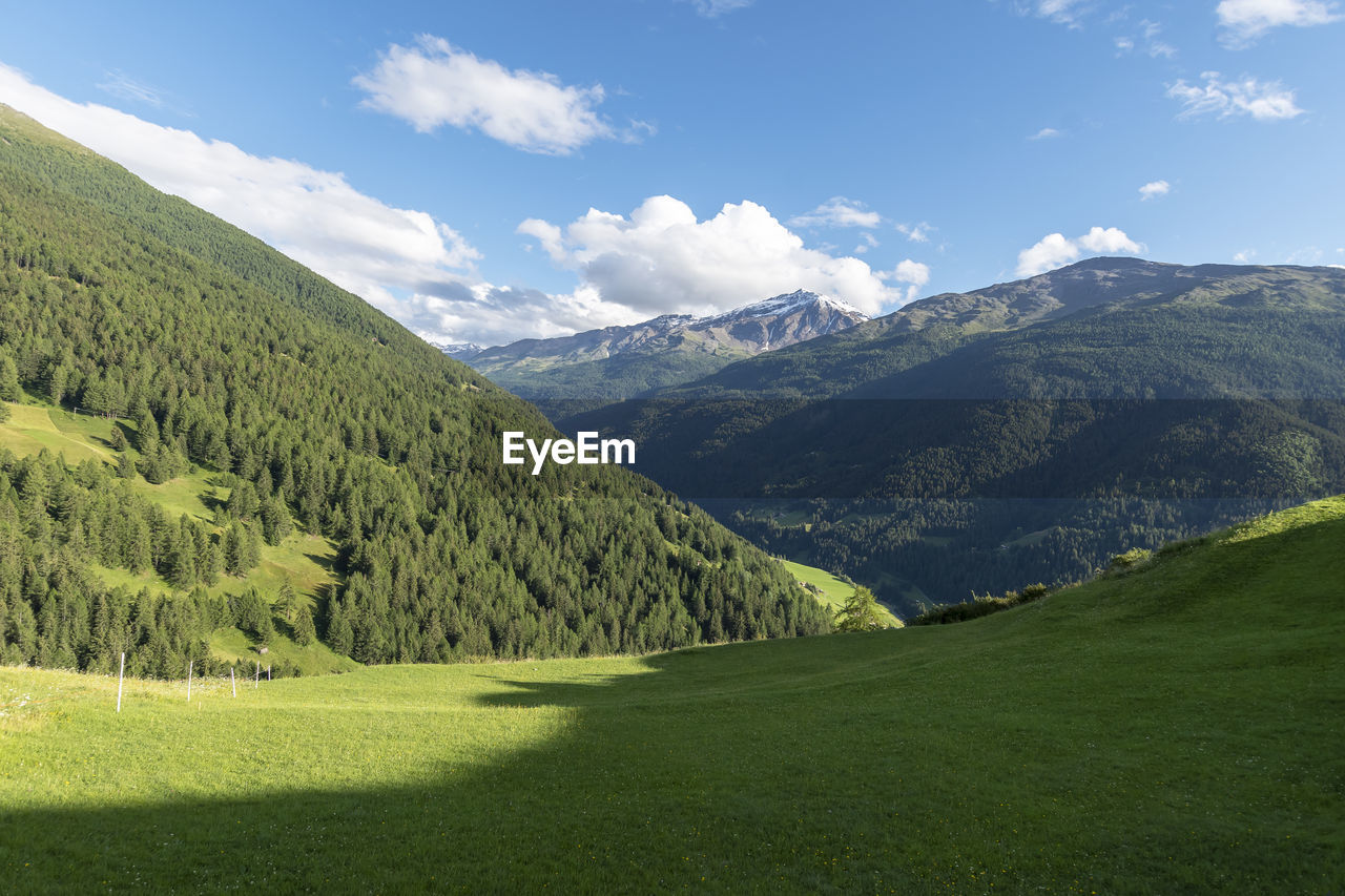 Panorama val zebrù, bormio