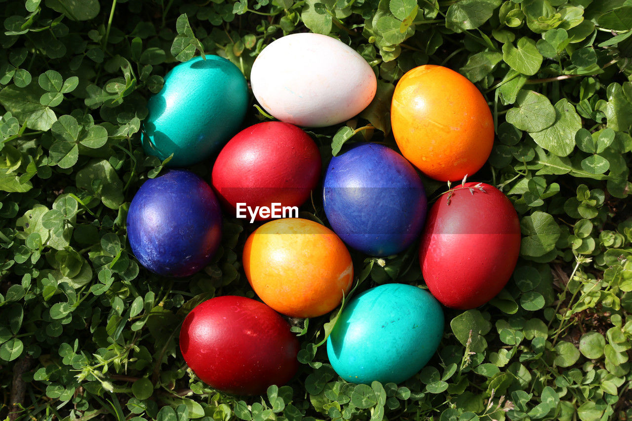 close-up of easter eggs