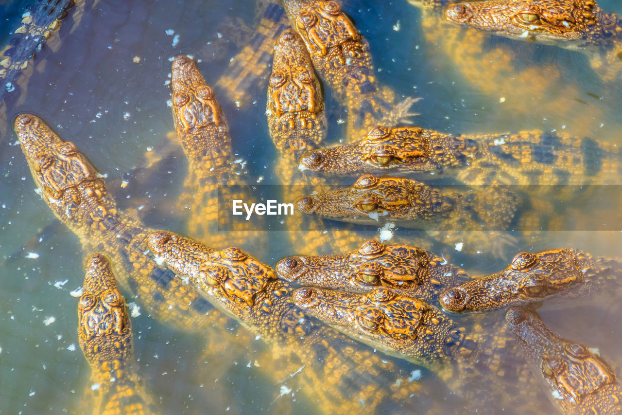 CLOSE-UP OF WATER SPLASHING ON SEA