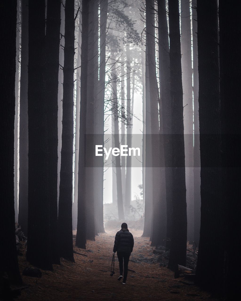 Rear view full length of woman walking amidst trees at forest