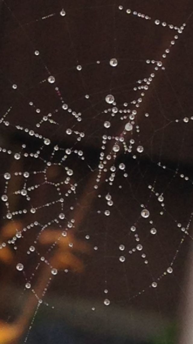 FULL FRAME SHOT OF WATER DROPS ON GLASS