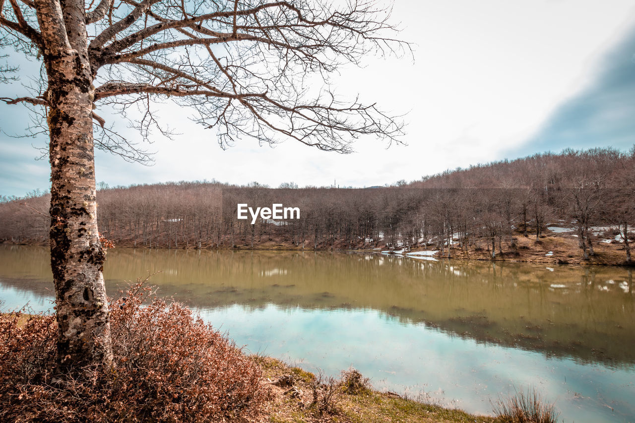 Reflection of bare trees in lake against sky