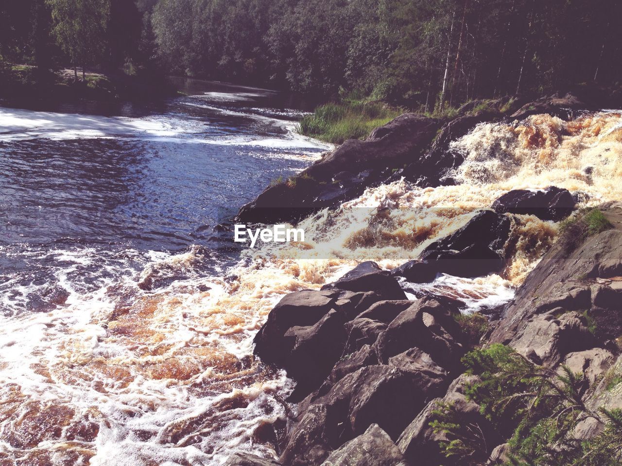STREAM FLOWING THROUGH FOREST