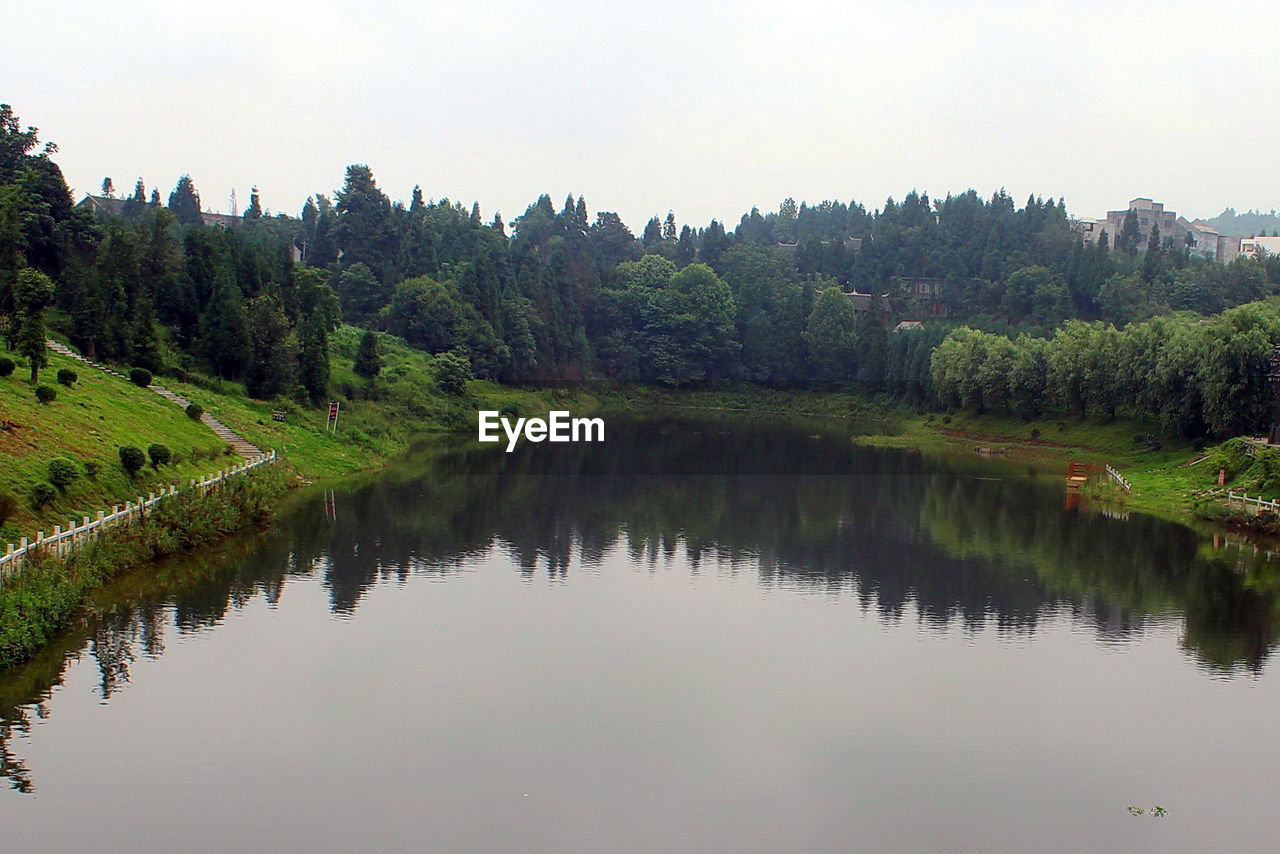 Reflection of trees in calm lake