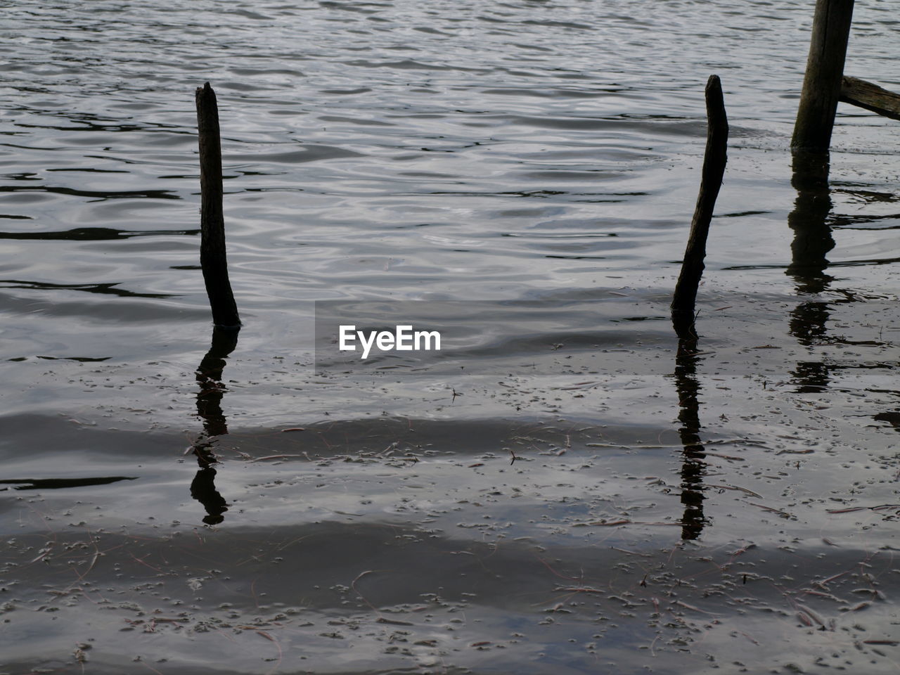 HIGH ANGLE VIEW OF WOODEN POST ON LAKE