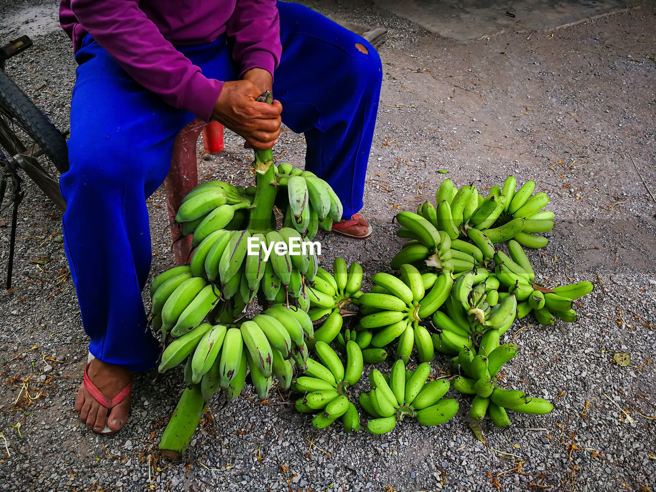 Raw bananas from banana bunch