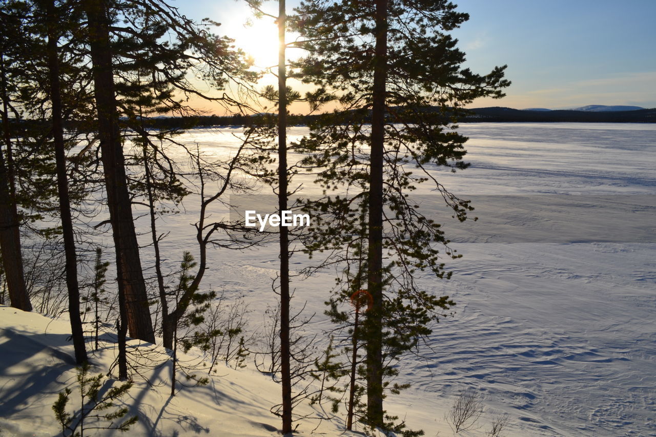 winter, tree, plant, beauty in nature, nature, scenics - nature, sky, snow, tranquility, water, land, reflection, tranquil scene, cold temperature, environment, landscape, sunset, sunlight, no people, non-urban scene, coniferous tree, pinaceae, lake, wilderness, pine tree, sun, forest, mountain, outdoors, natural environment, idyllic, beach, frozen, day, travel destinations, pine woodland, ice, cloud, travel, remote, tourism