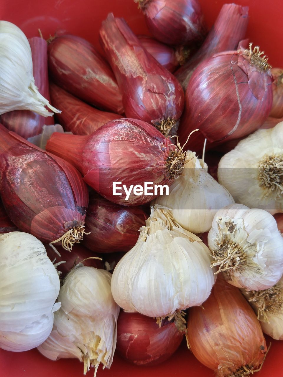 Close-up of onions and garlic