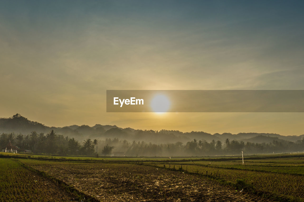 Scenic view of field against sky during sunset