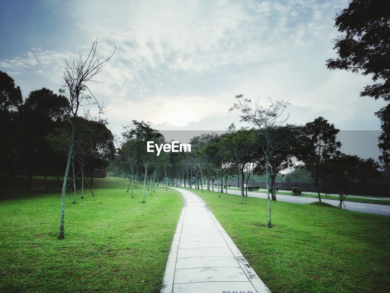 FOOTPATH AMIDST TREES AND GRASS IN FIELD AGAINST SKY