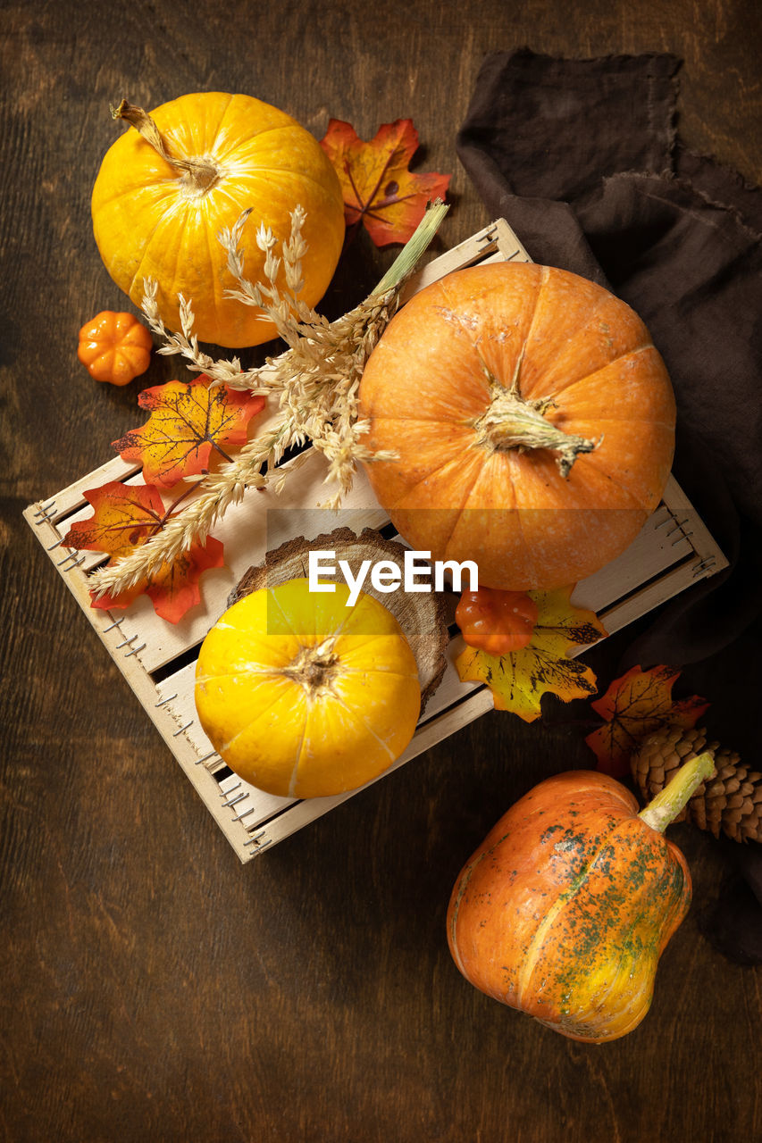 Festive autumn seasonal decorations with pumpkins and leaves on a rustic wooden background. 