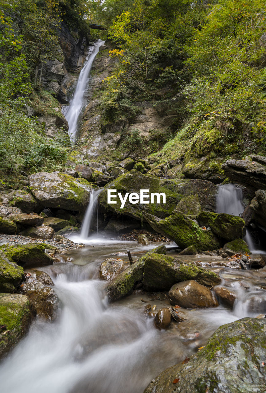 Scenic view of waterfall in forest
