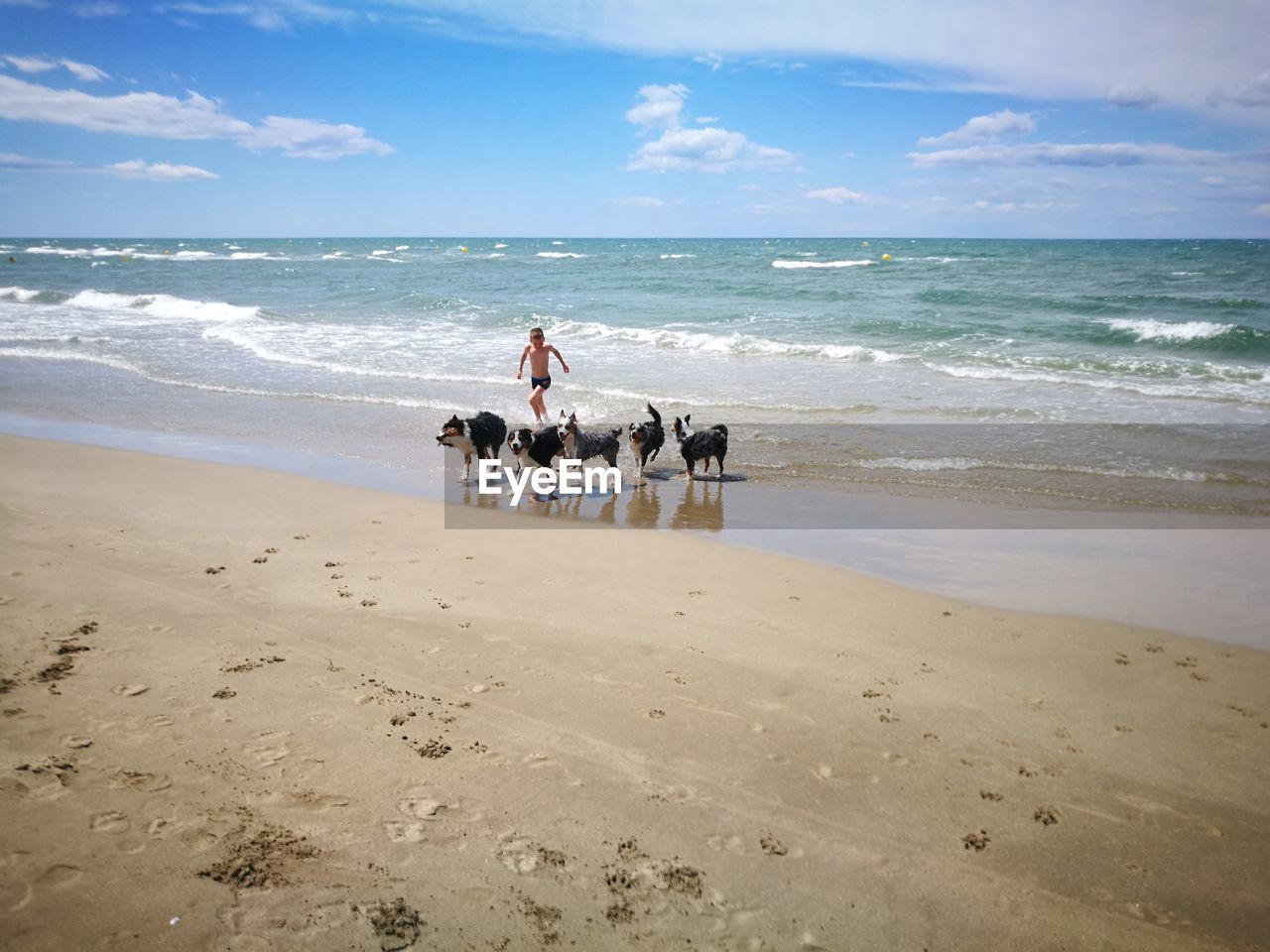 Boy with dogs running on beach against sky