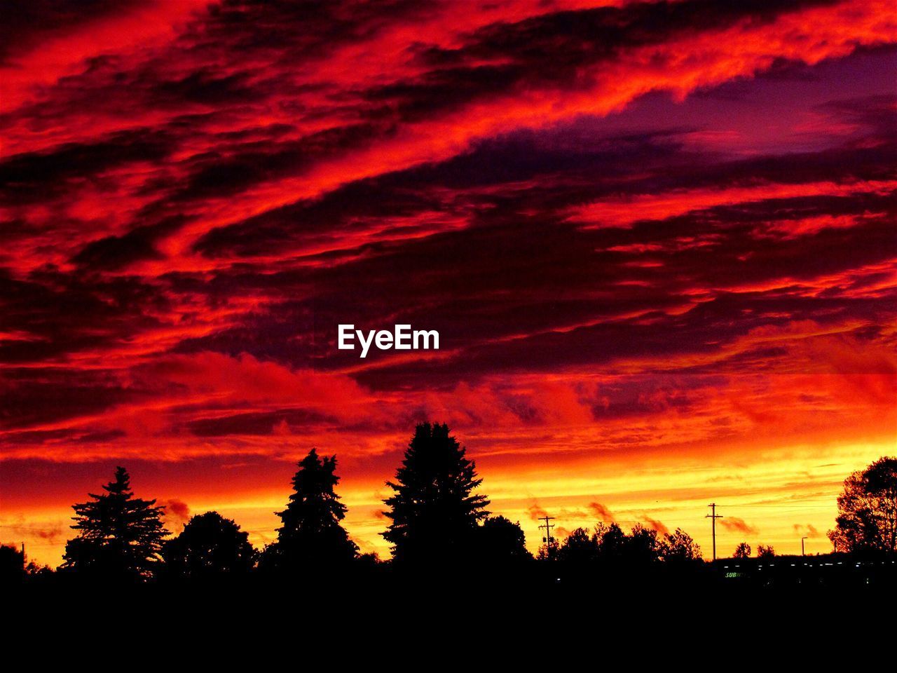 Silhouette trees on landscape against cloudy sky at sunset