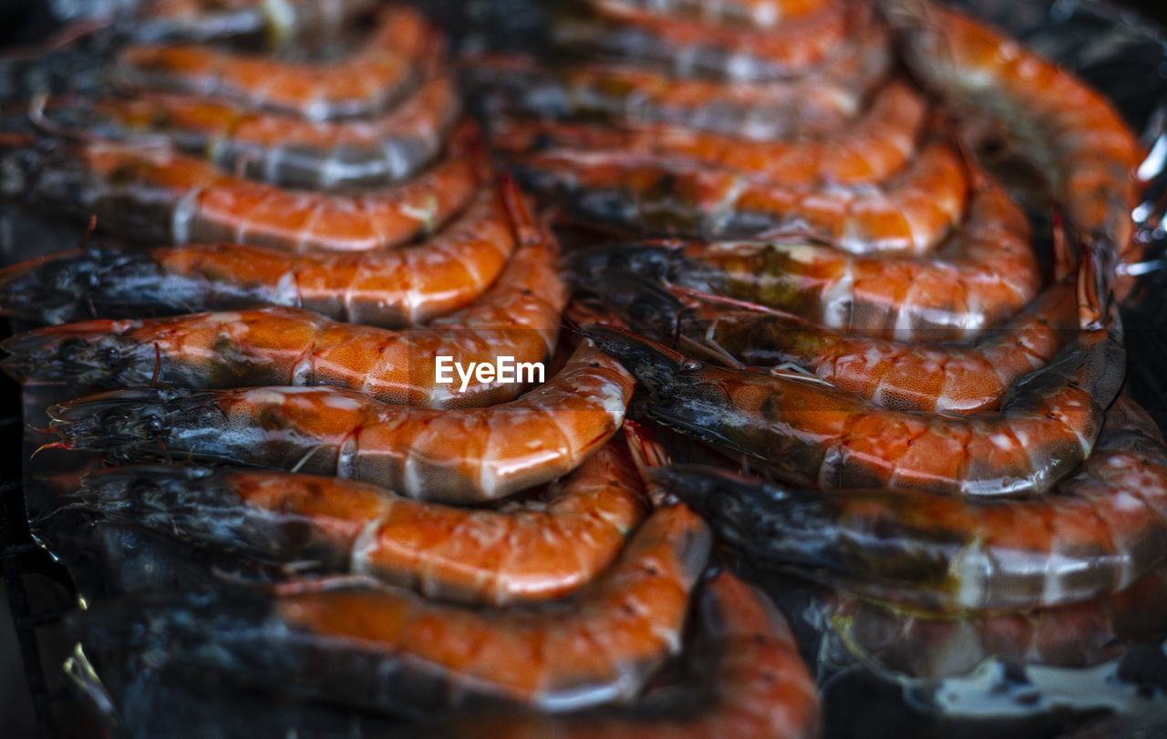 Close up shrimp on the grill