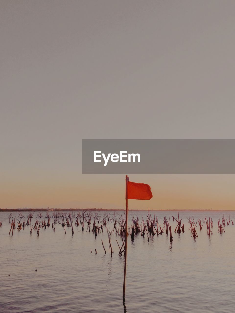 WOODEN POSTS IN SEA AGAINST CLEAR SKY