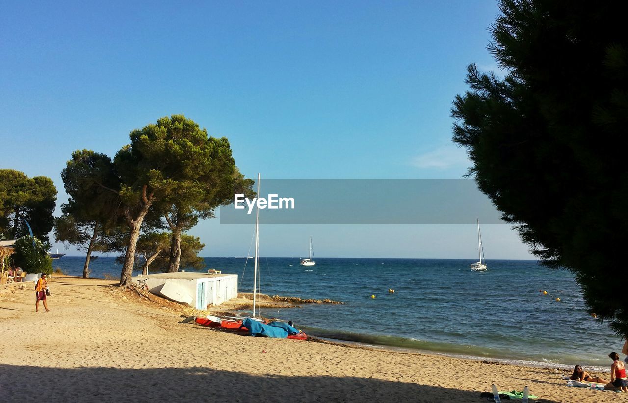 People on beach by silhouette trees against sky