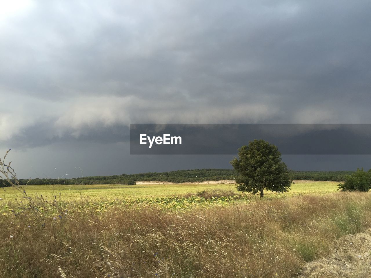 Scenic view of landscape against cloudy sky