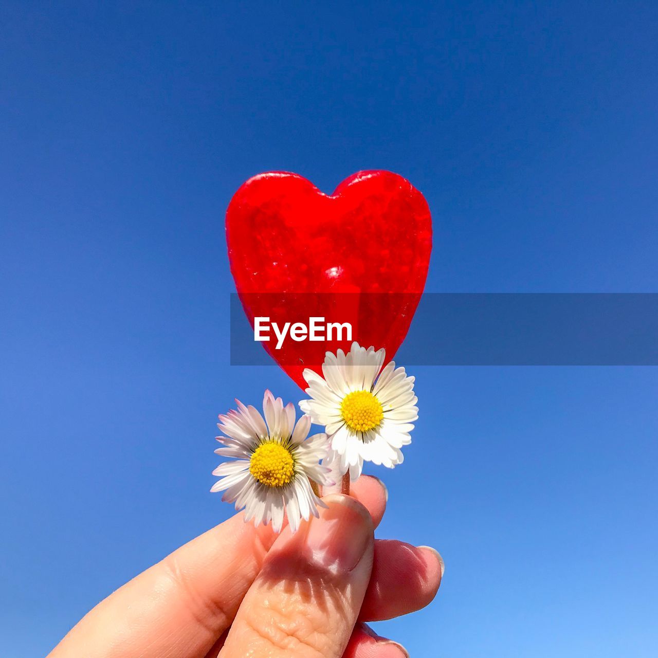 Cropped hand holding red heart shape lollipop with flowers against clear blue sky