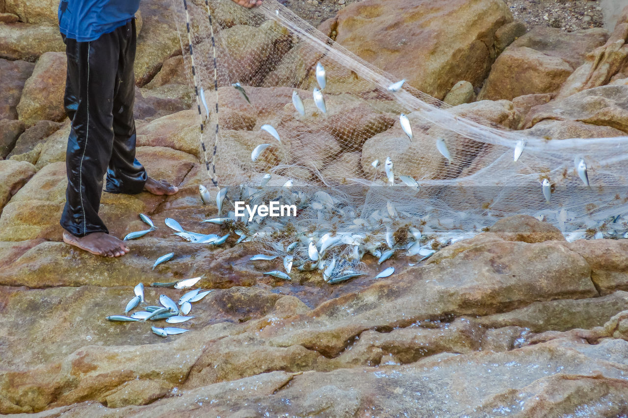 Low section of man standing by fish in fishing net on rocks