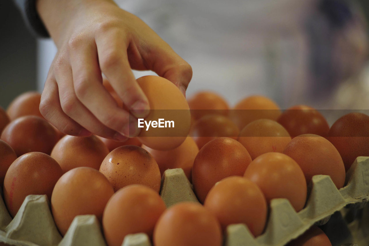 Storage and packaging of eggs, taking an egg from the egg carton