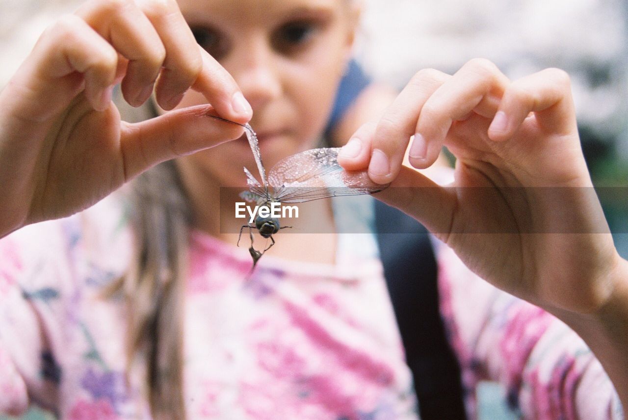 Close-up of girl holding insect