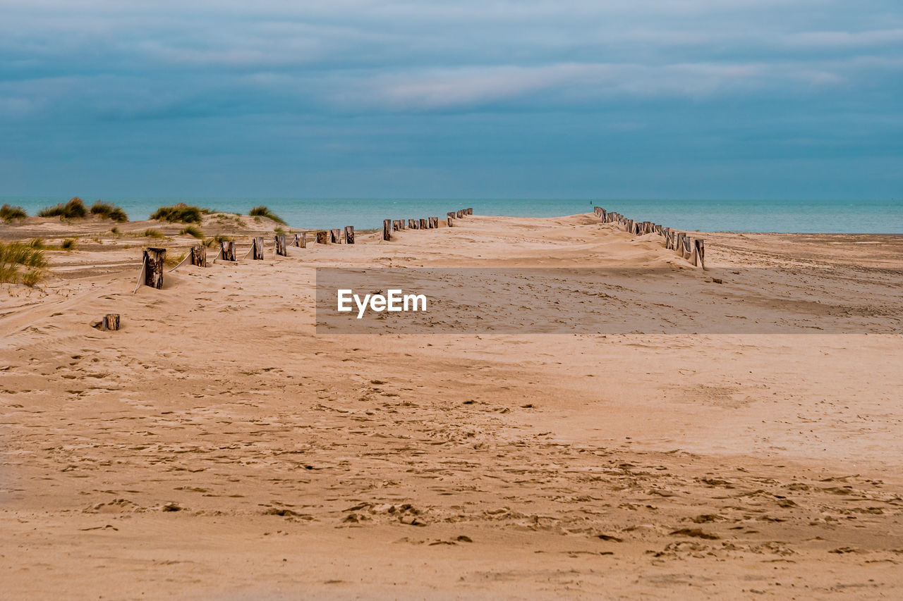 Wooden stakes showing the path towards the sea on a naturally developed sand beach