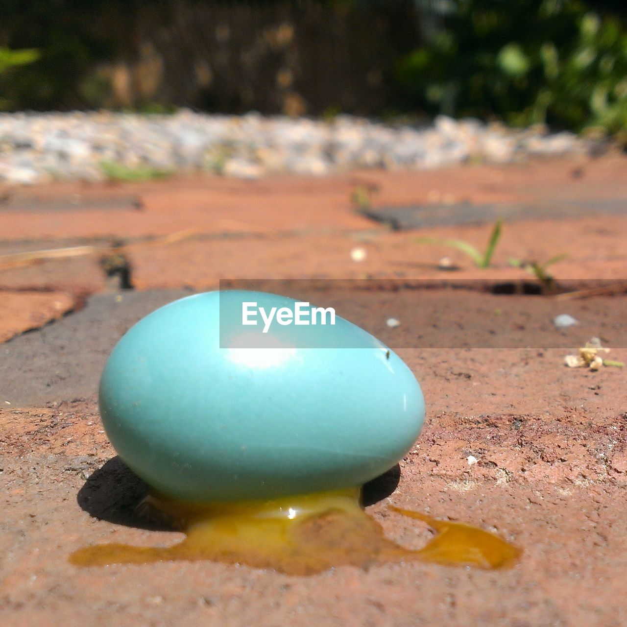 Blue egg crashed on the floor