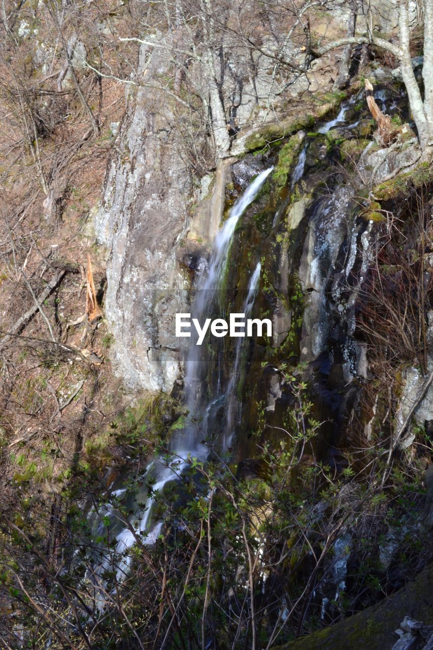 WATERFALL IN FOREST