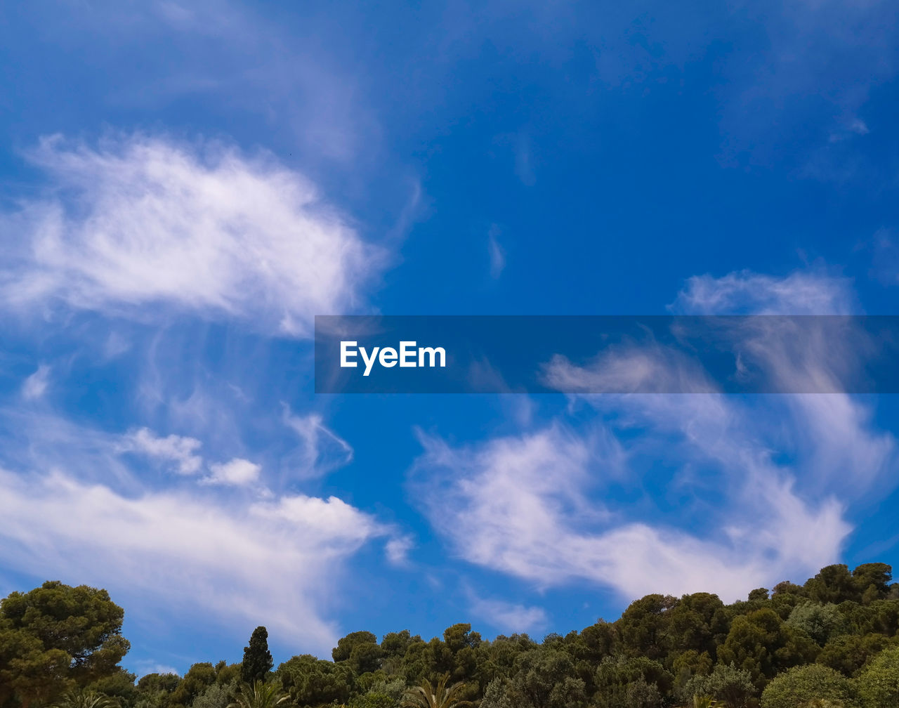 Low angle view of trees against cloudy sky