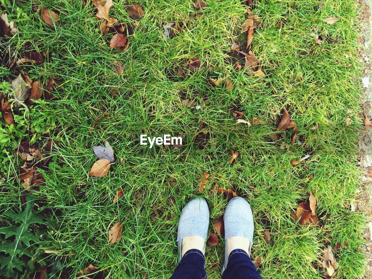 Low section of woman standing on grass