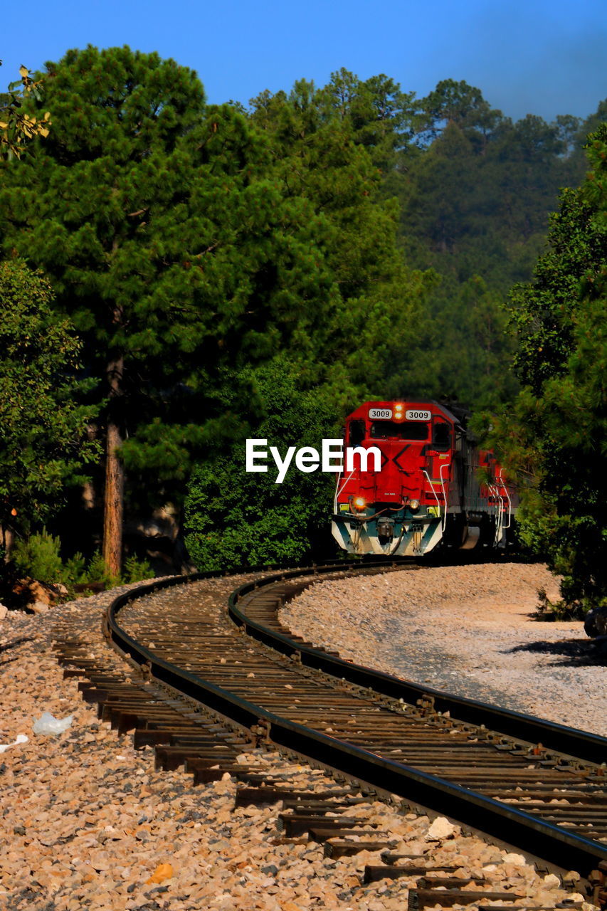 Train on railroad track by trees against sky