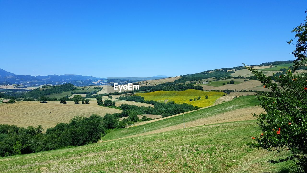 Scenic view of landscape against clear sky