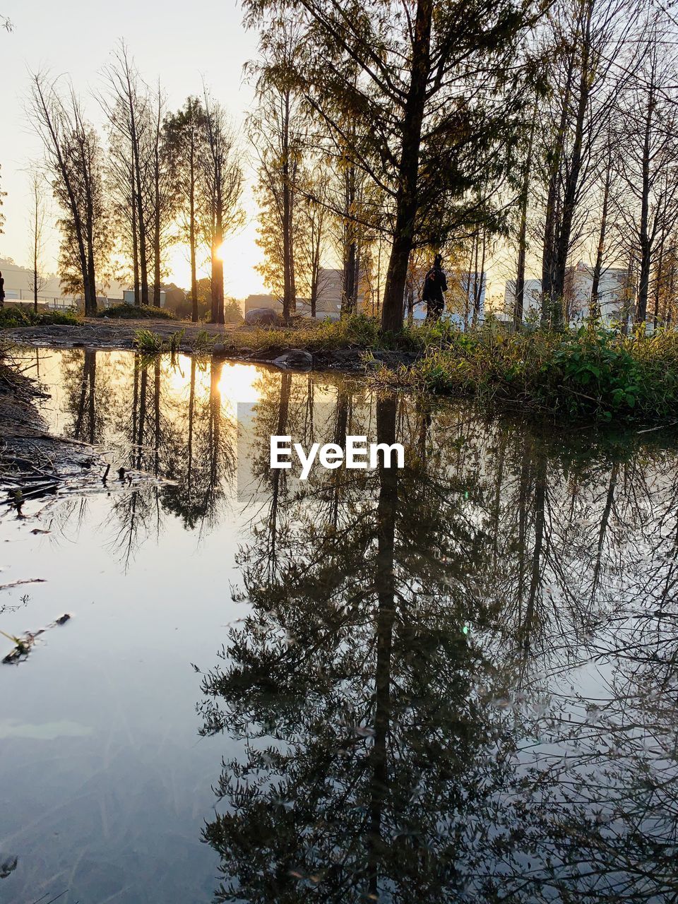 SCENIC VIEW OF LAKE IN FOREST DURING SUNSET