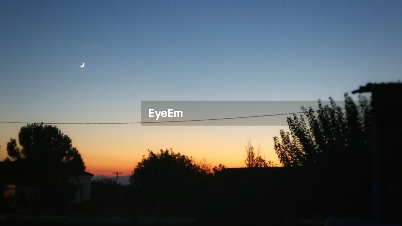 Silhouette trees against clear sky at sunset