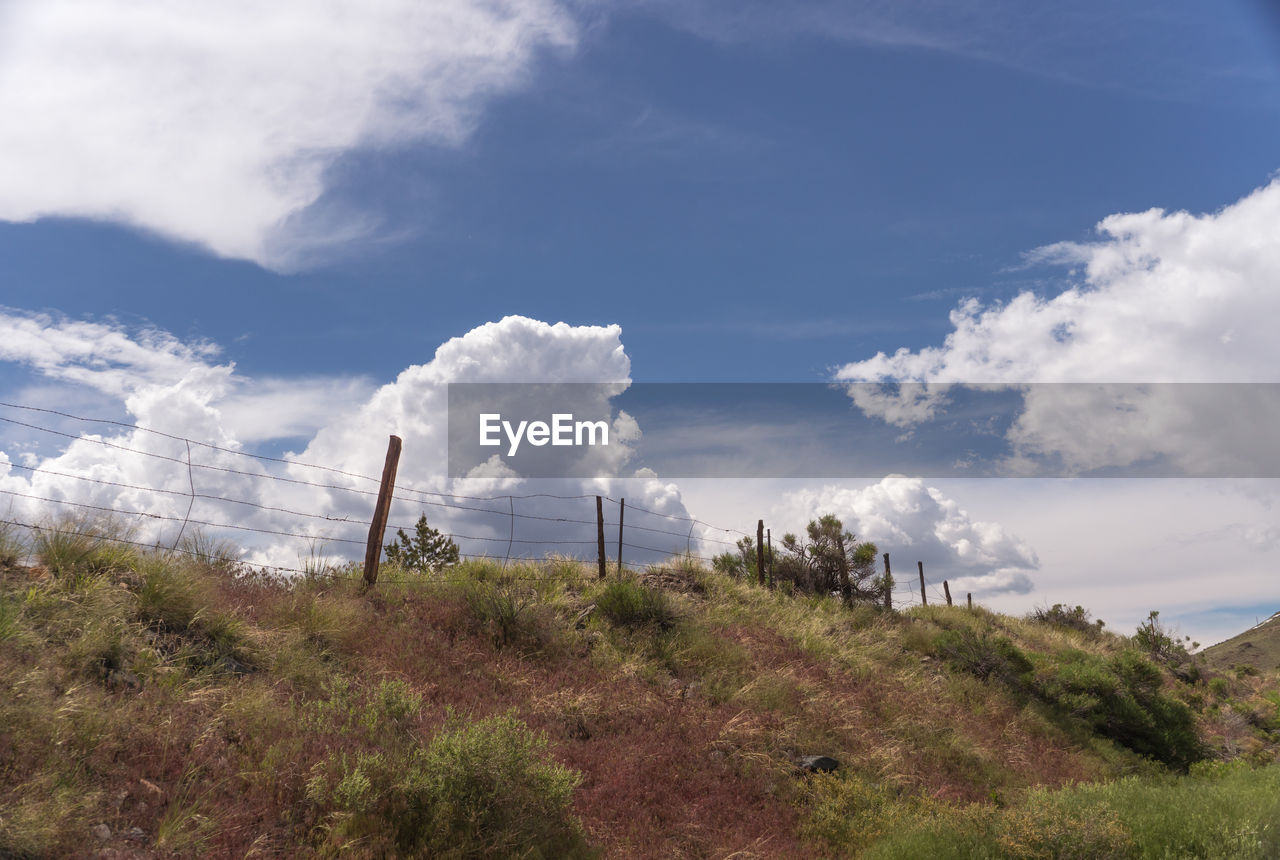 Scenic view of grassy field against cloudy sky