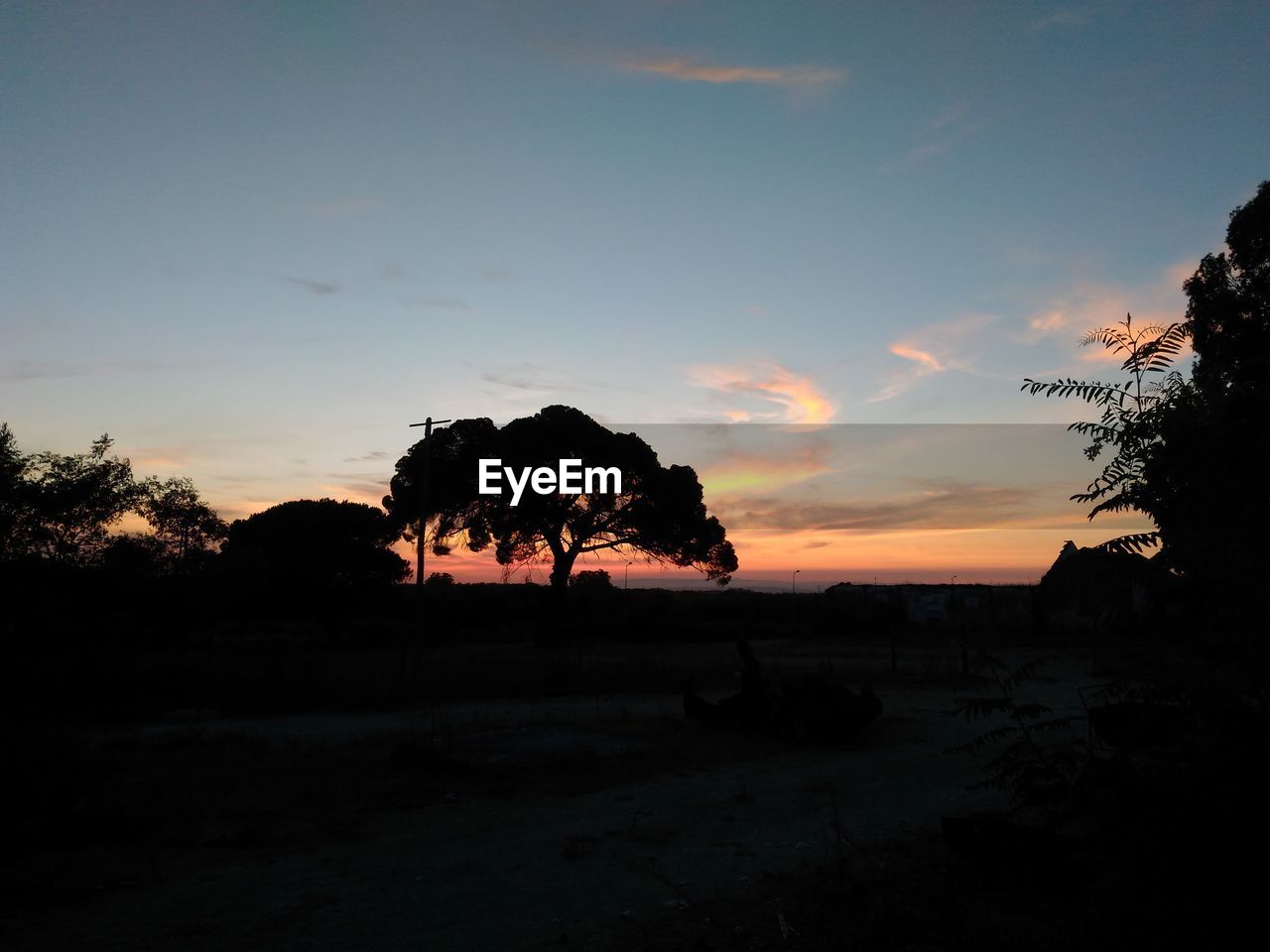 Silhouette trees on landscape against sky at sunset