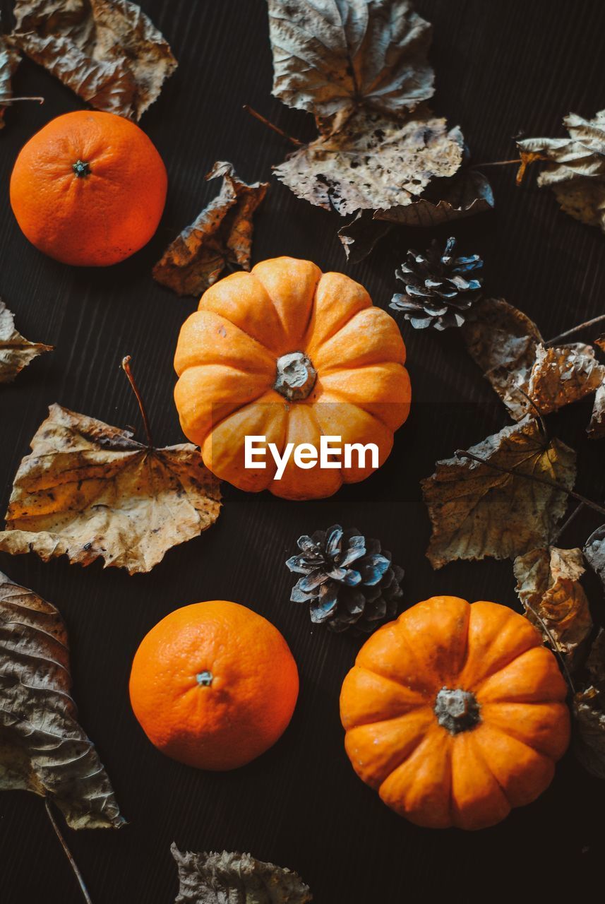 An autumnal flat lay with pumpkins and leaves