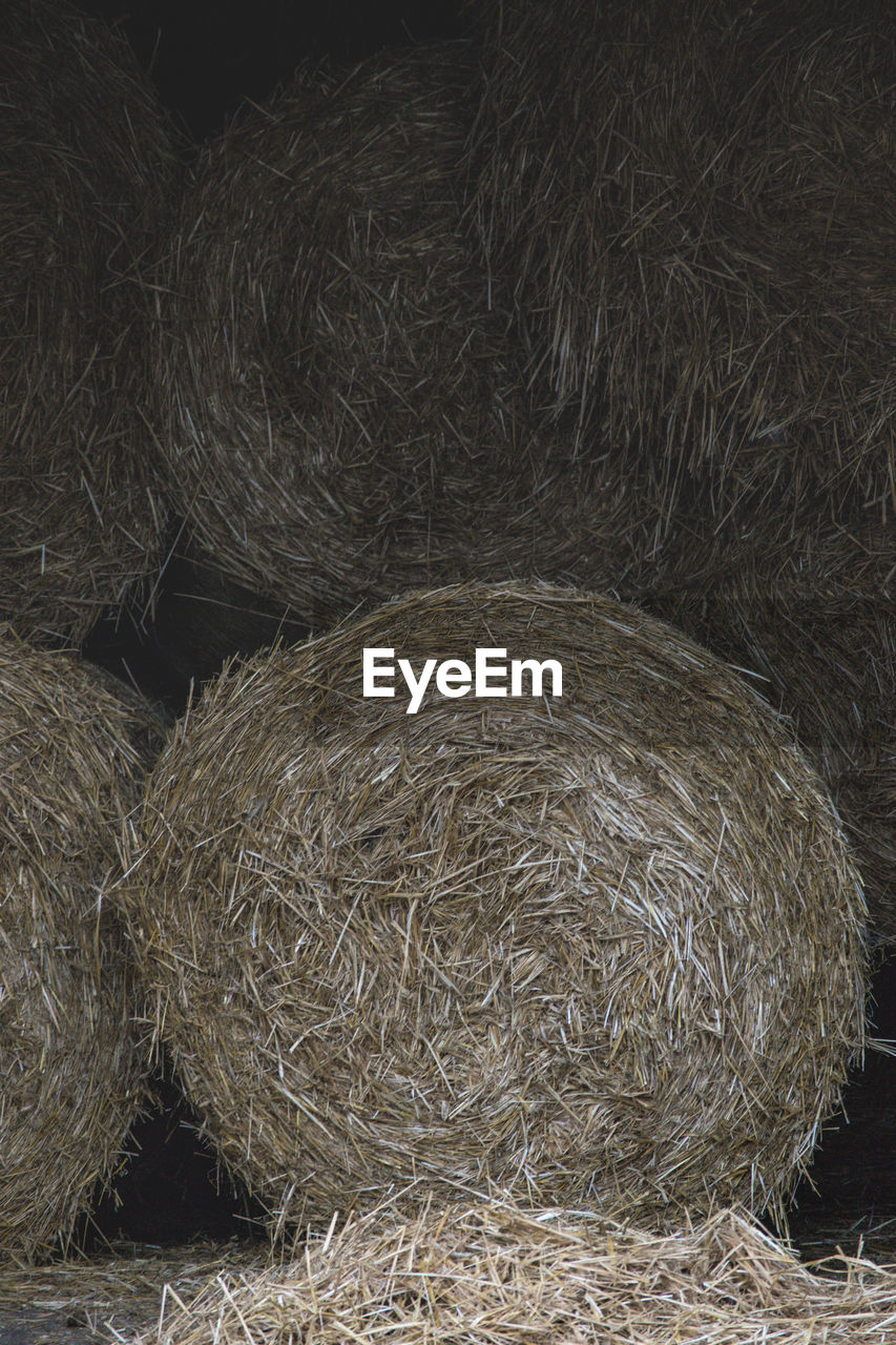 High angle view of hay bales on field