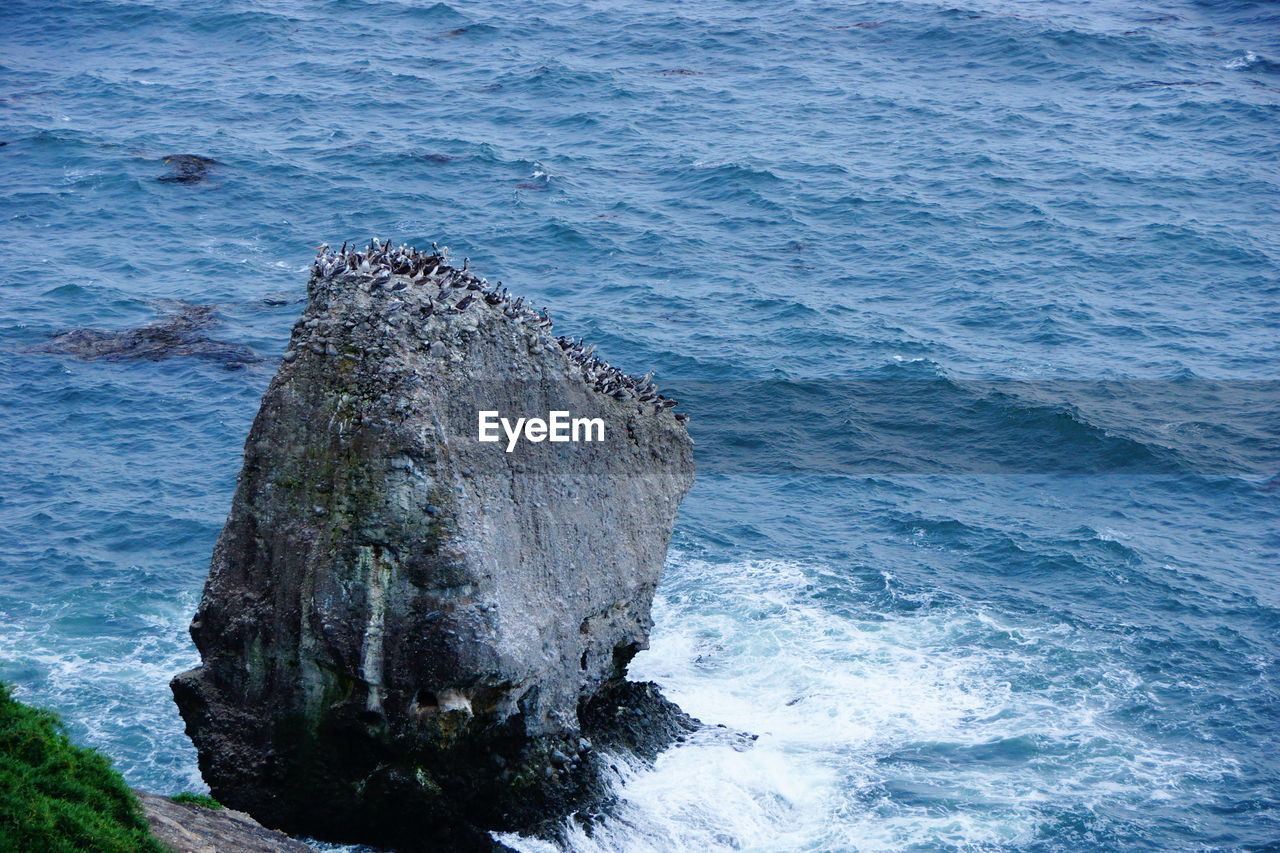 CLOSE-UP OF ROCKS ON SEA SHORE