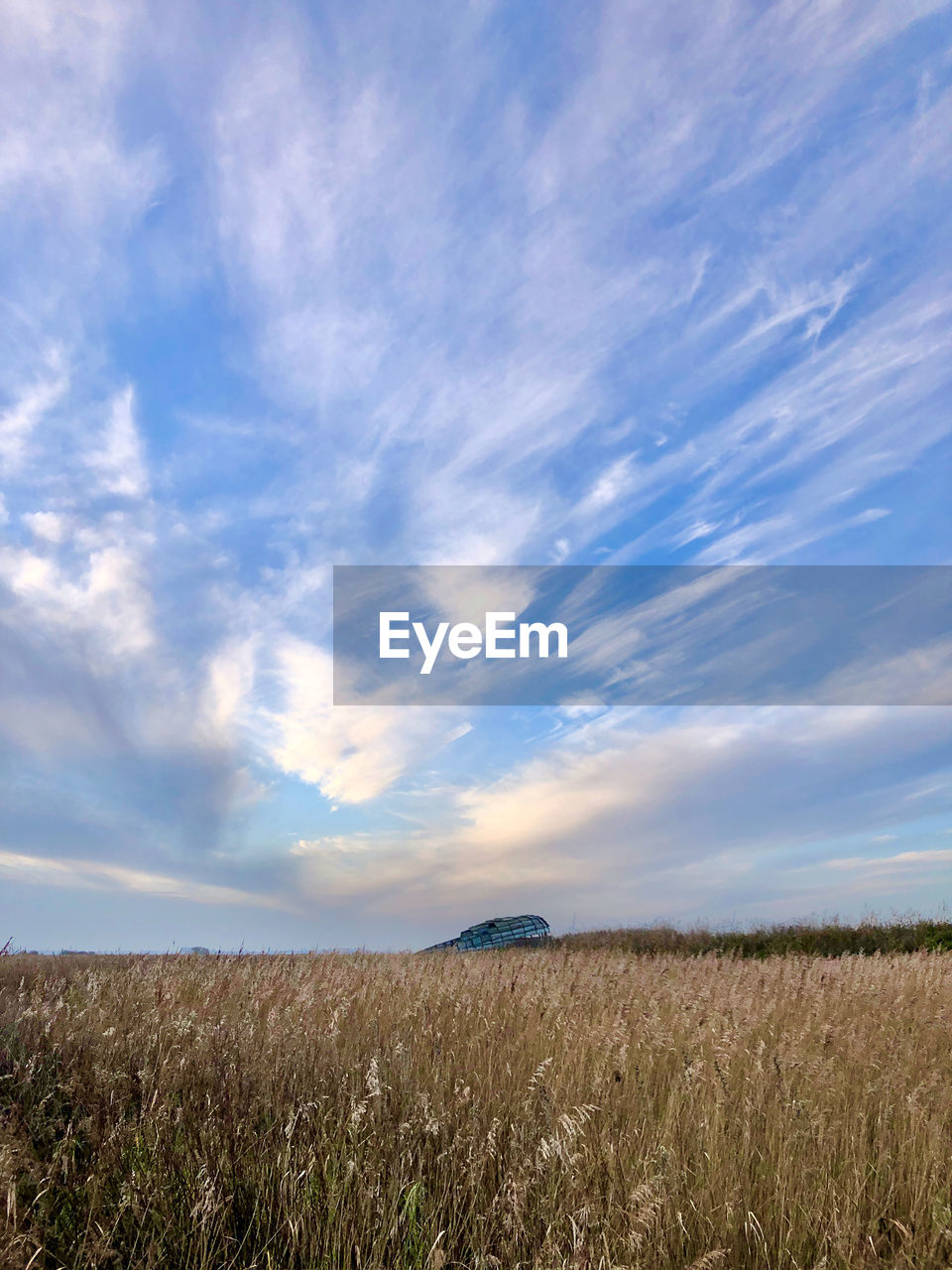 FIELD AGAINST SKY