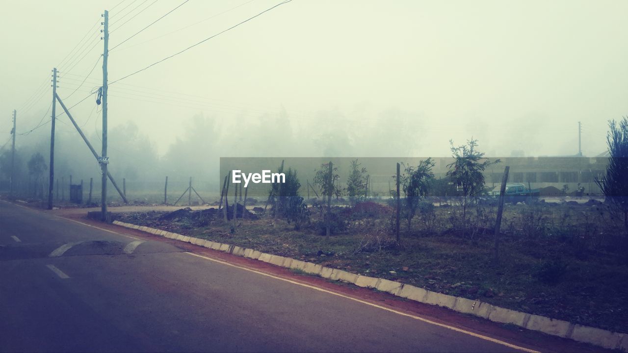 Foggy meadow beside road