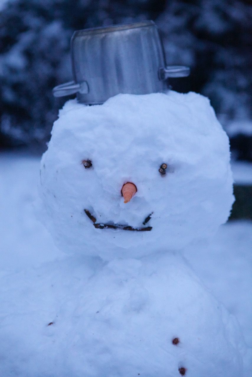 Close-up of snowman